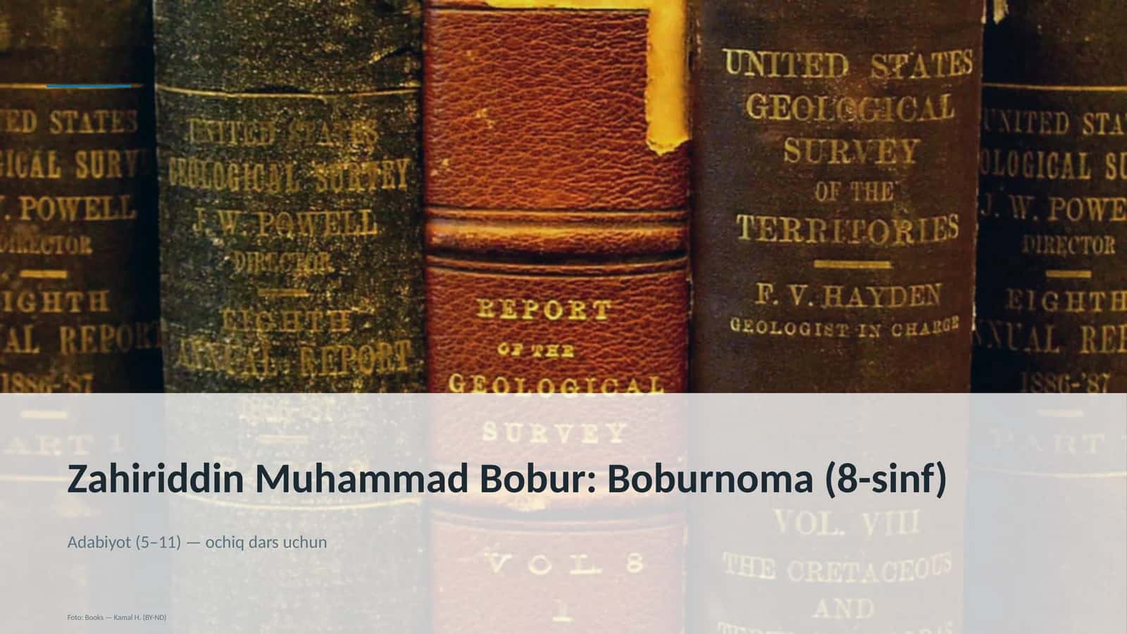 Zahiriddin Muhammad Bobur: Boburnoma (8-sinf)