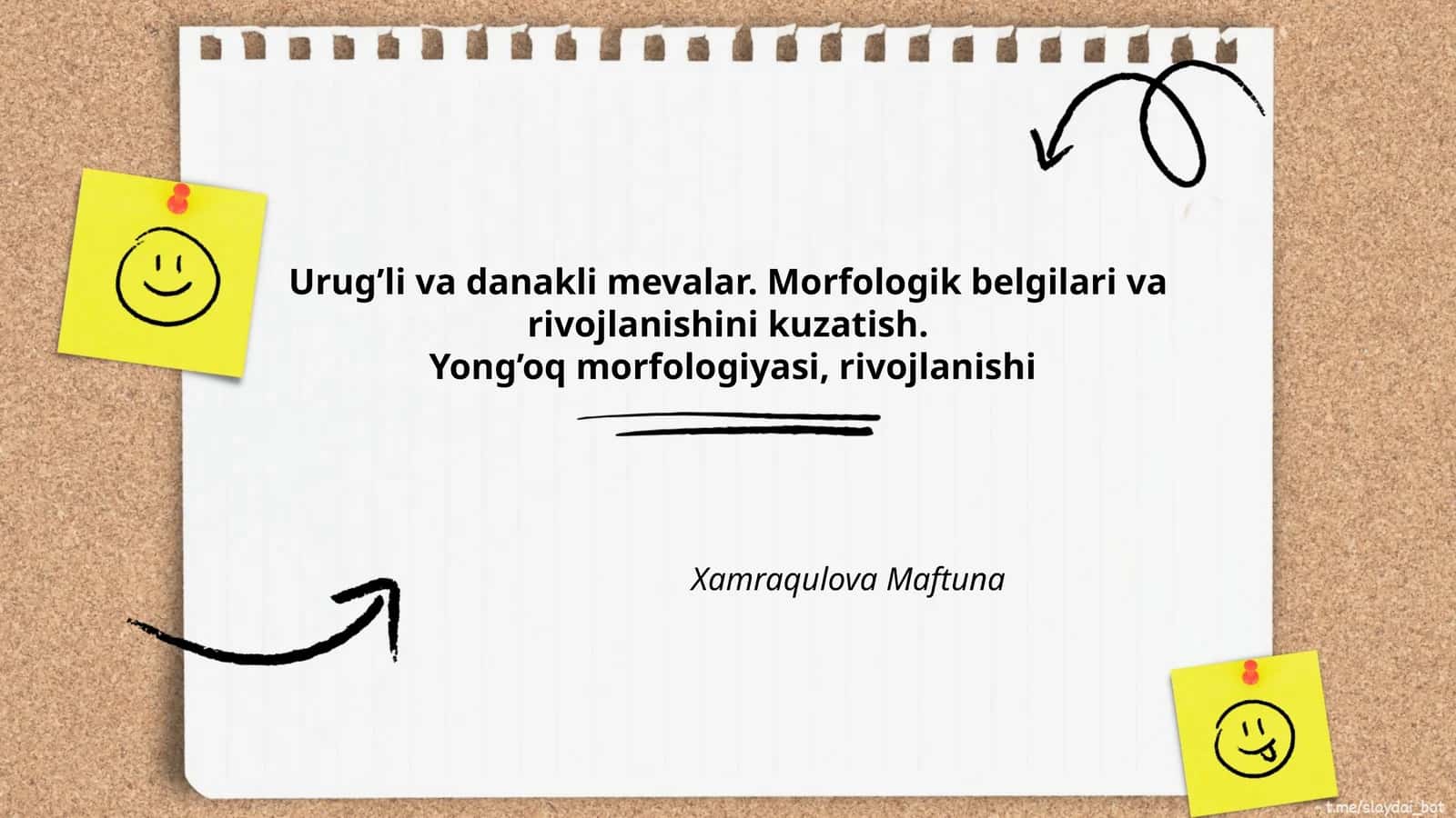 Yong’oq morfologiyasi, rivojlanishi