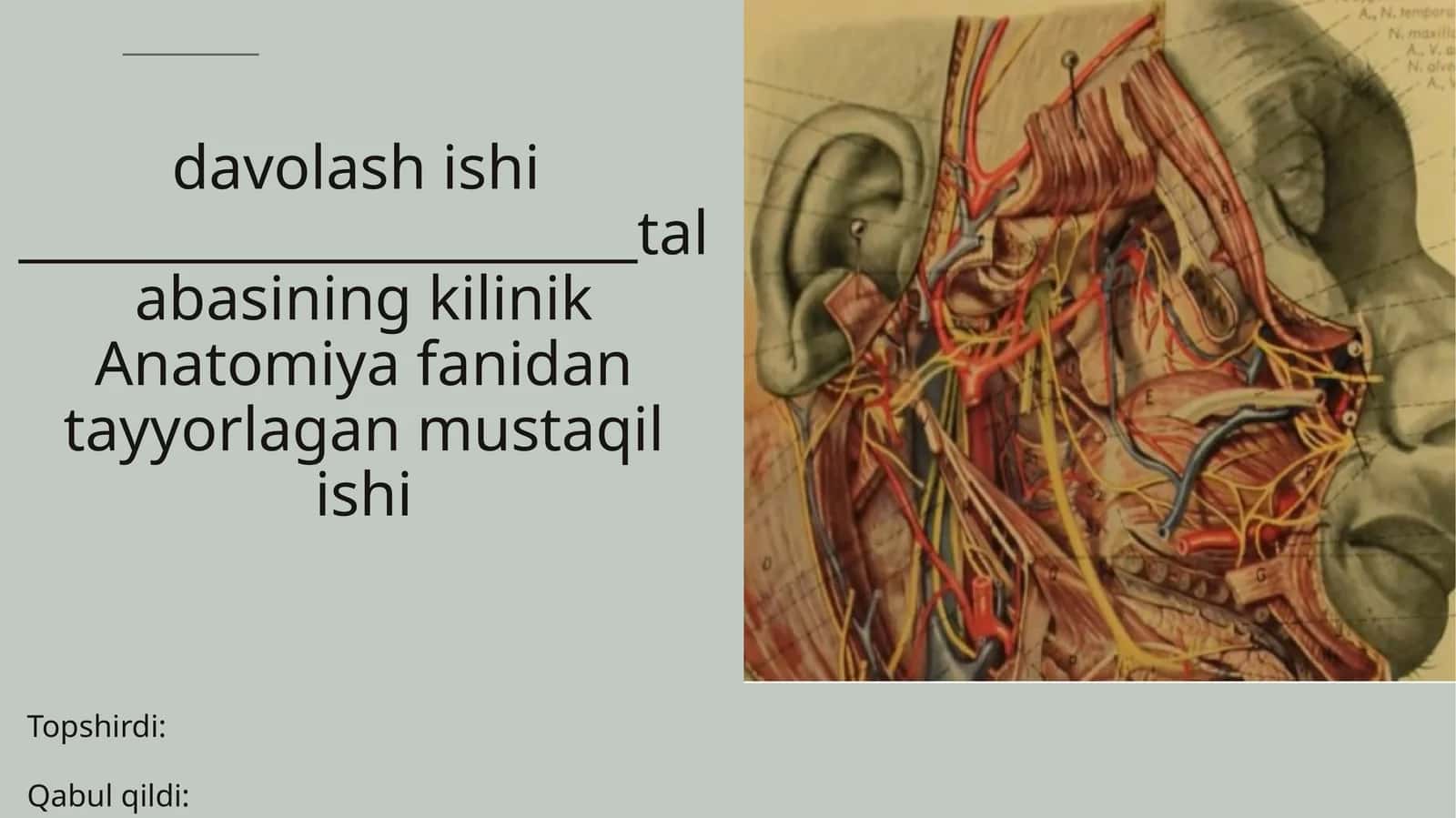 Yuzdagiplastikoperatsiya xususiyatlar