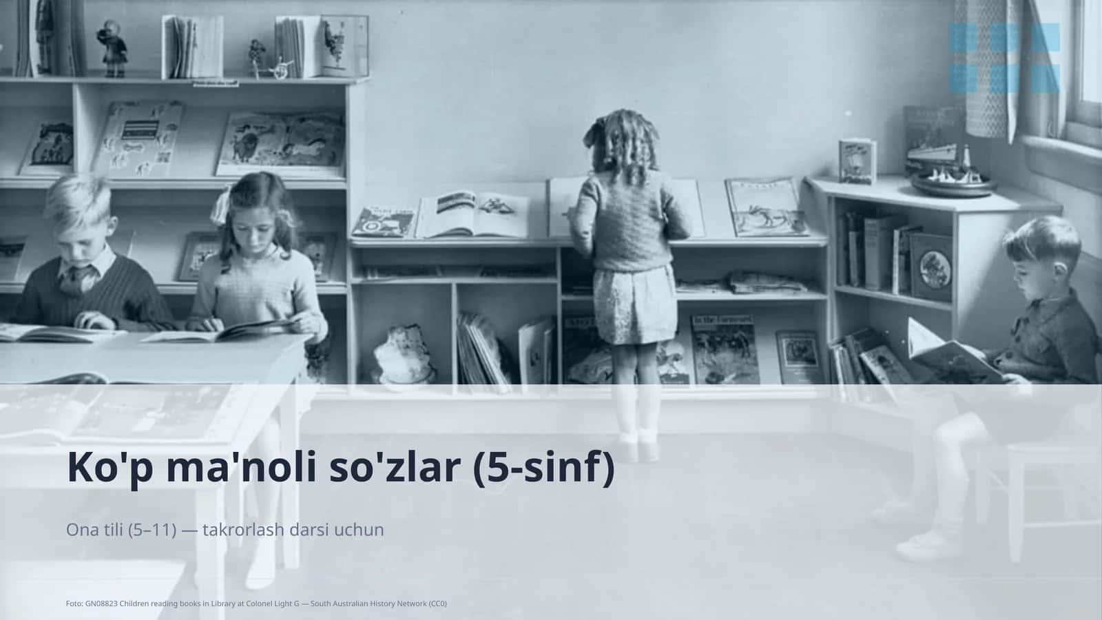 Ko'p ma'noli so'zlar (5-sinf)