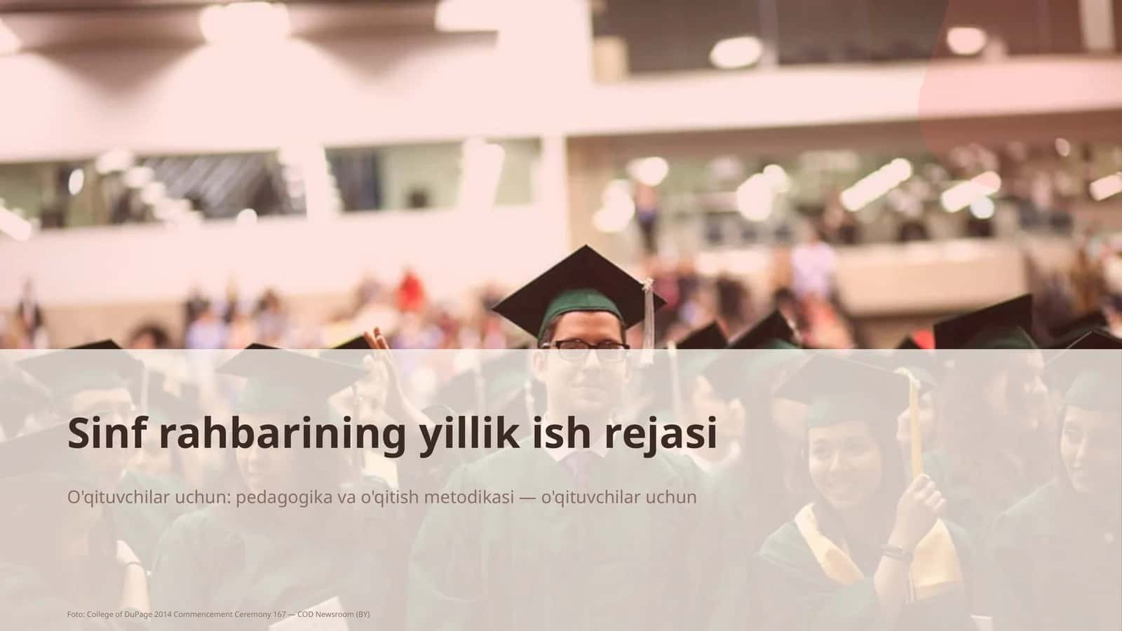 Sinf rahbarining yillik ish rejasi