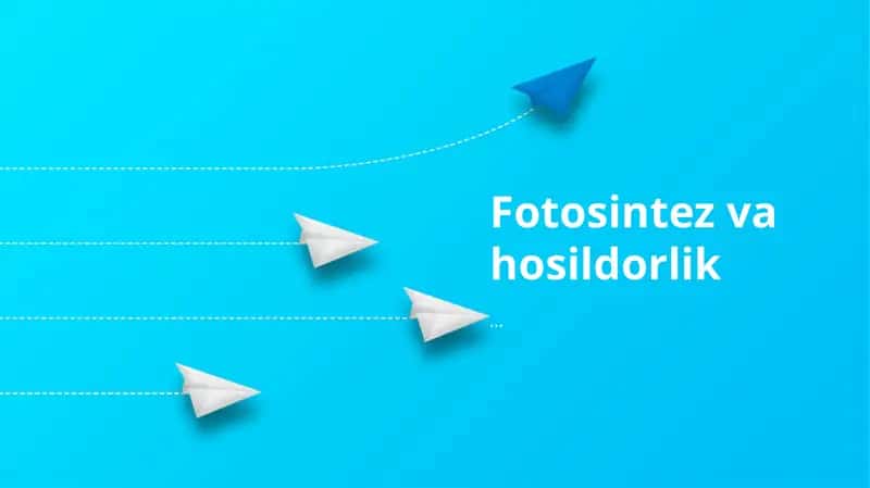 Fotosintez va hosildorlik