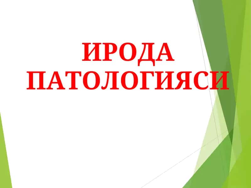 ИРОДА ПАТОЛОГИЯСИ
