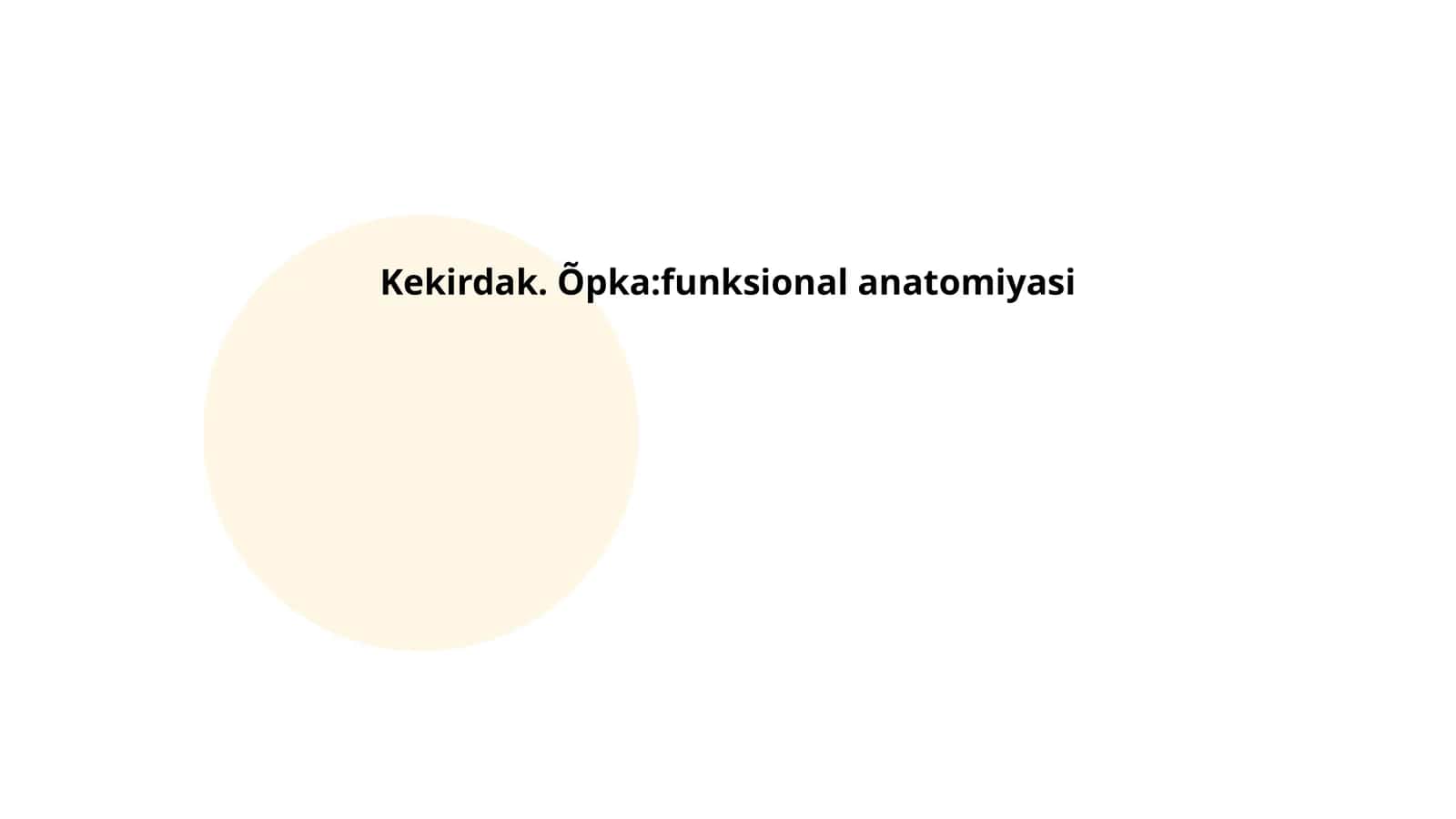 Kekirdak. Õpka:funksional anatomiyasi