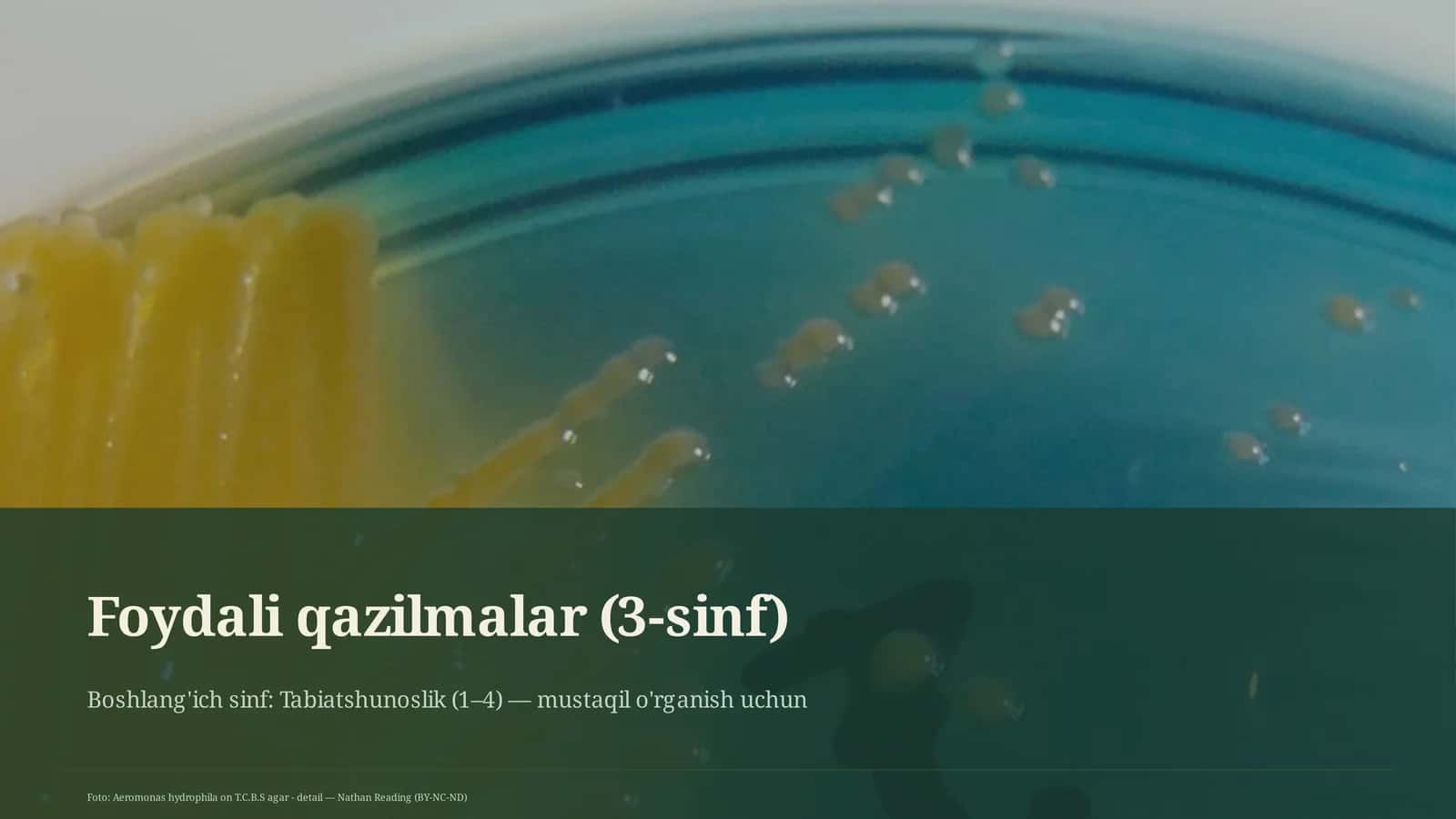 Foydali qazilmalar (3-sinf)