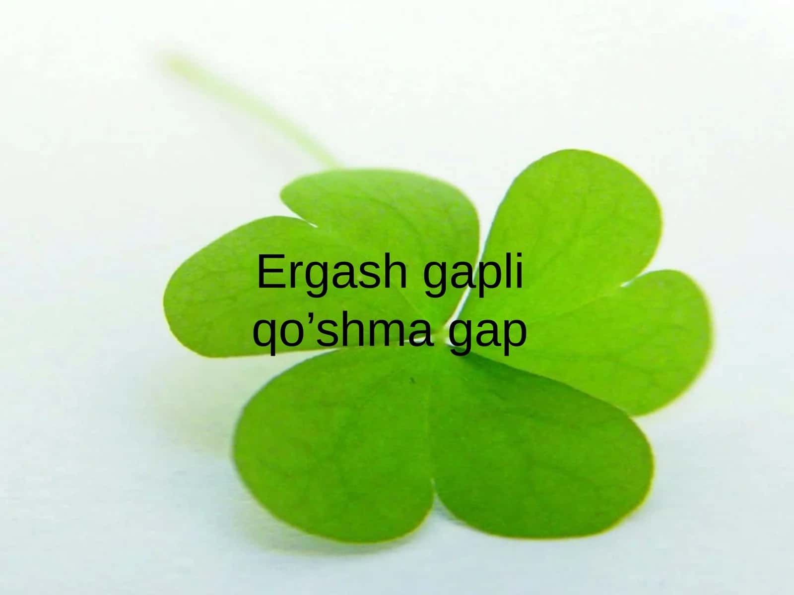 Ergash gapliqo’shma gap