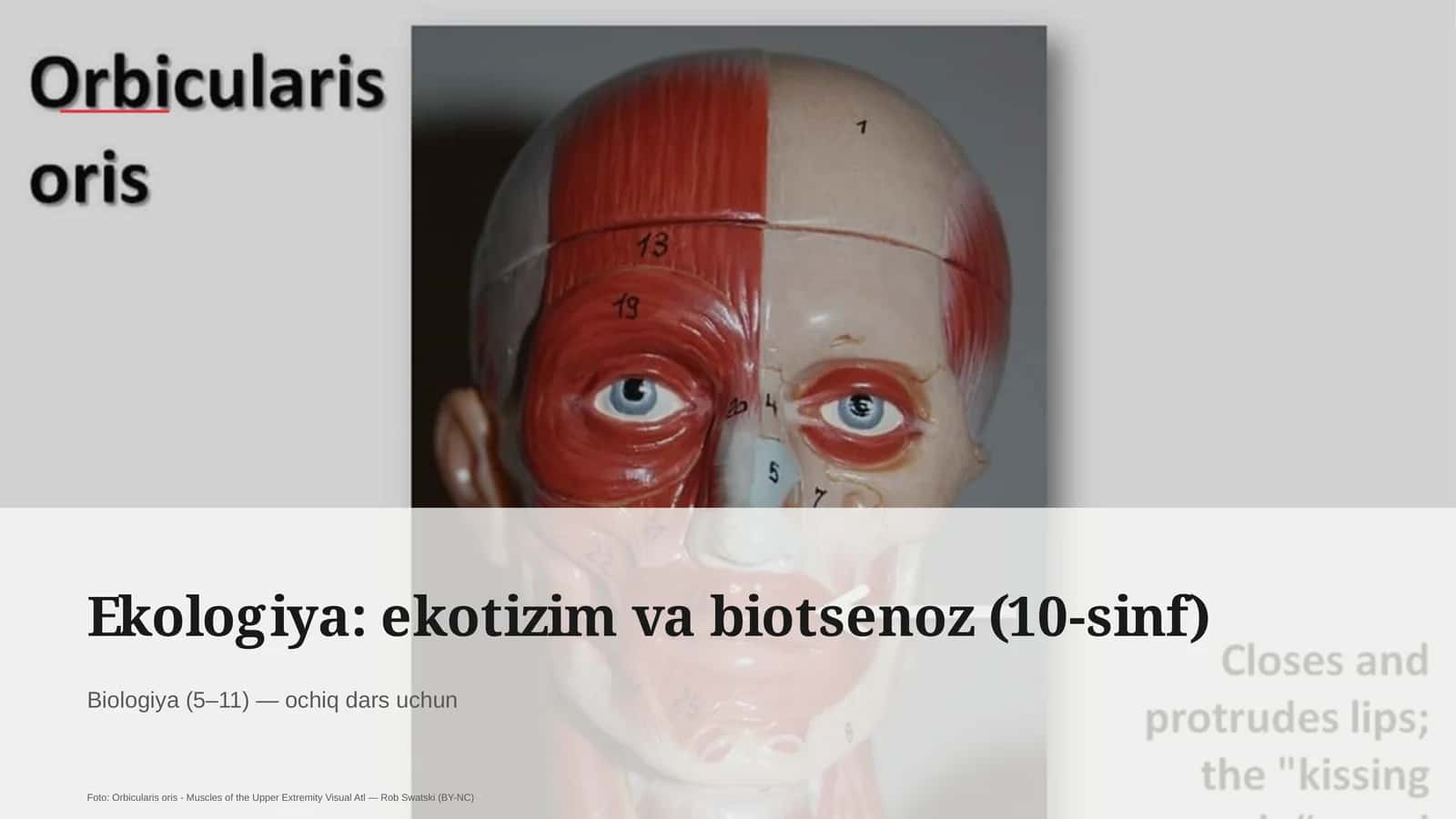 Ekologiya: ekotizim va biotsenoz (10-sinf)