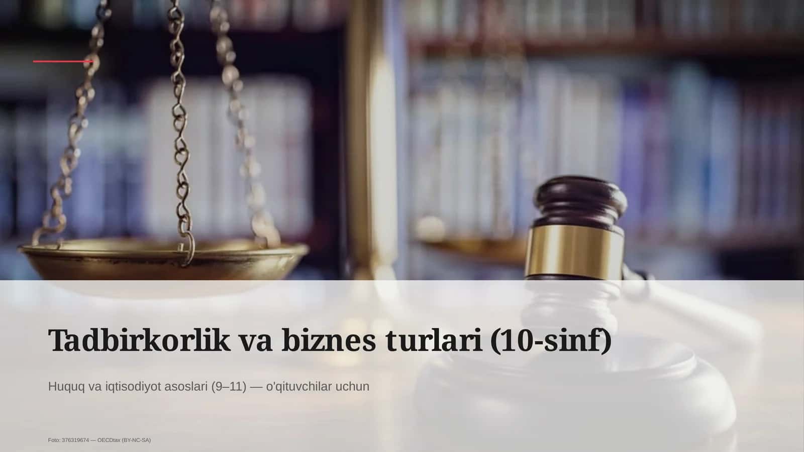 Tadbirkorlik va biznes turlari (10-sinf)