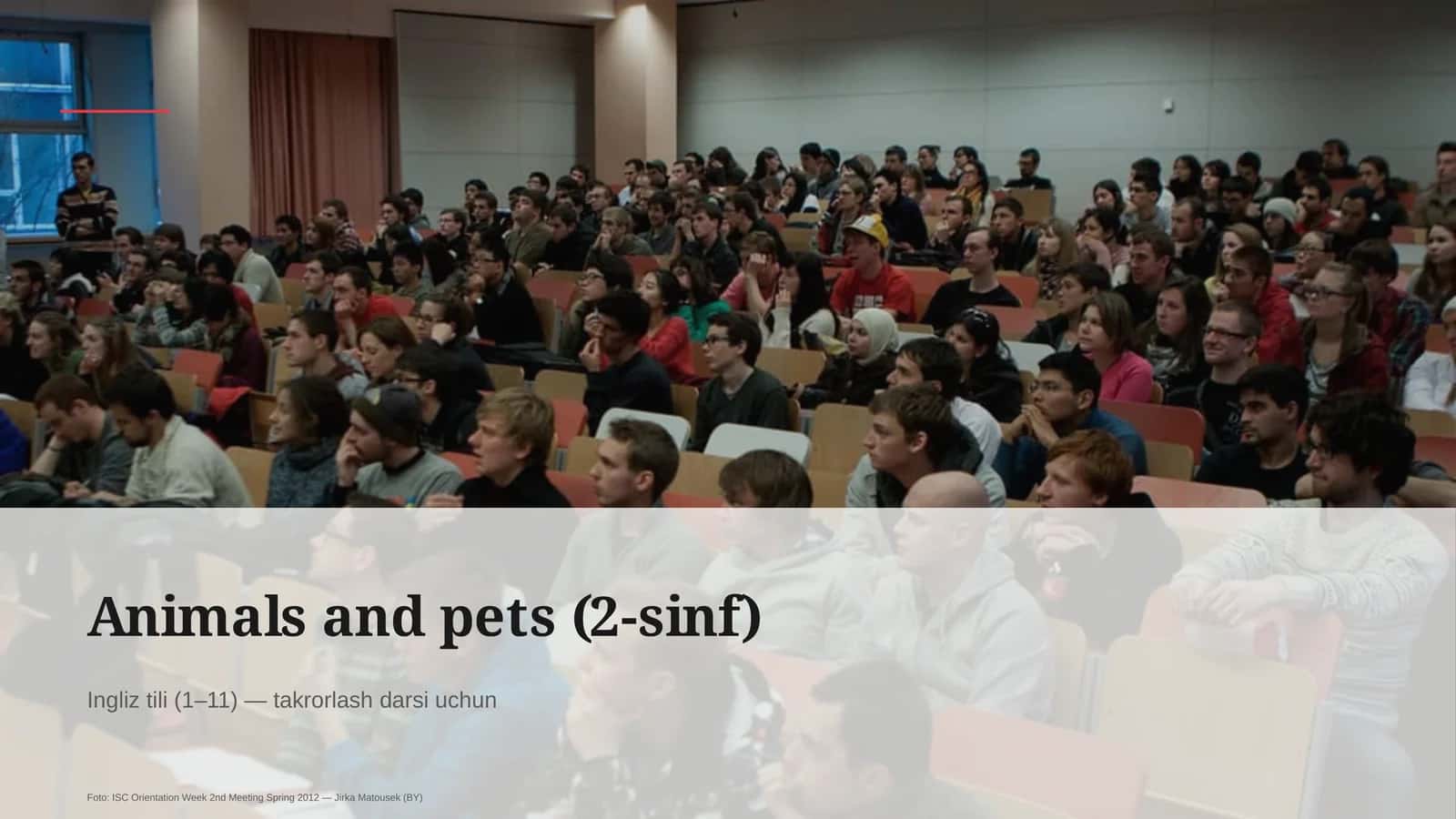 Animals and pets (2-sinf)