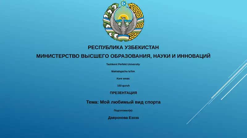 Мой любимый вид спорта