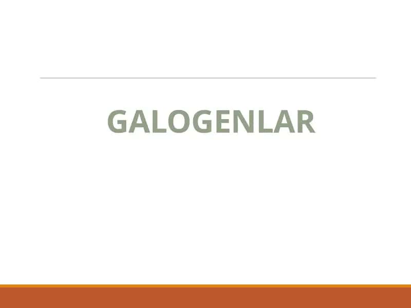 GALOGENLAR