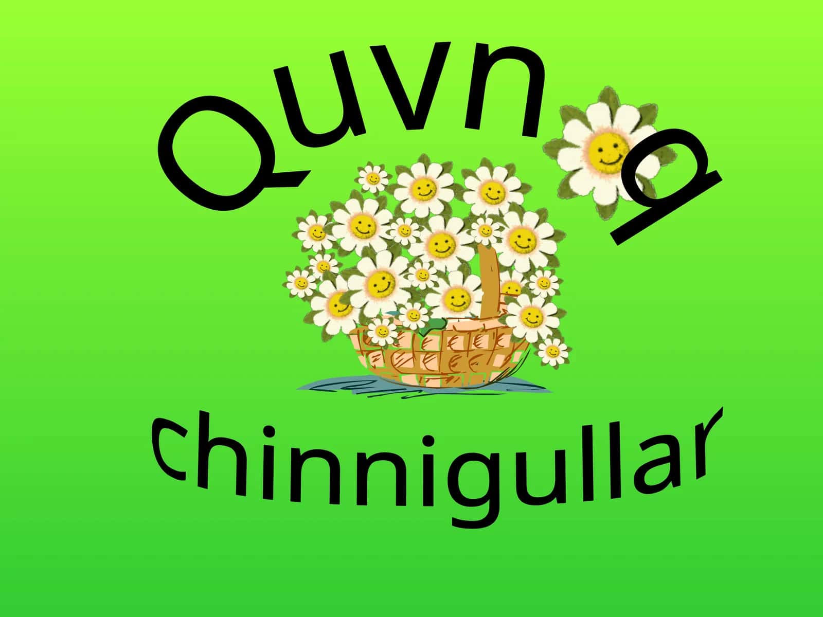 Quvnoq  chinnigullar