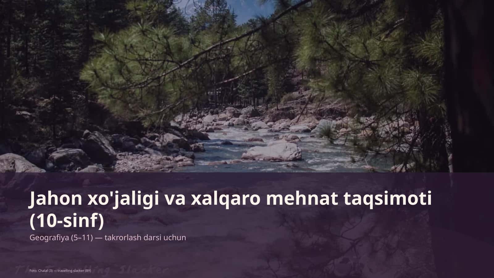 Jahon xo'jaligi va xalqaro mehnat taqsimoti (10-sinf)