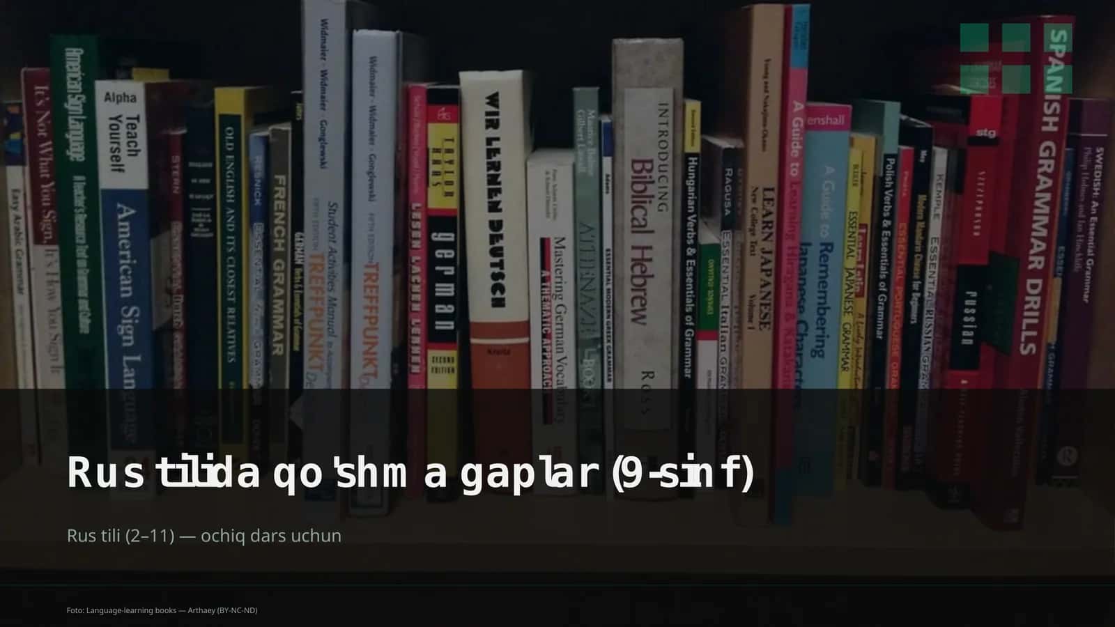 Rus tilida qo'shma gaplar (9-sinf)