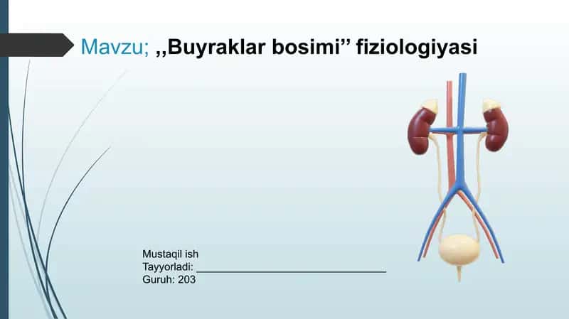 Buyraklarbosimi’’fiziologiyasi