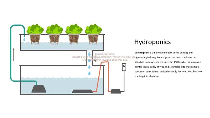 Hydroponics