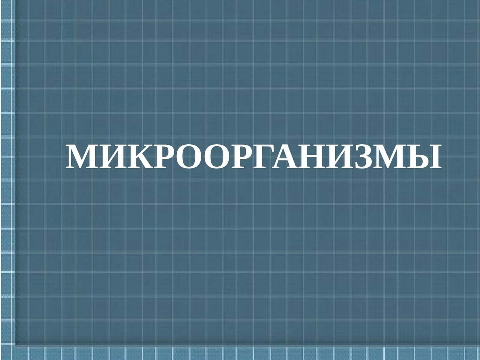 МИКРООРГАНИЗМЫ