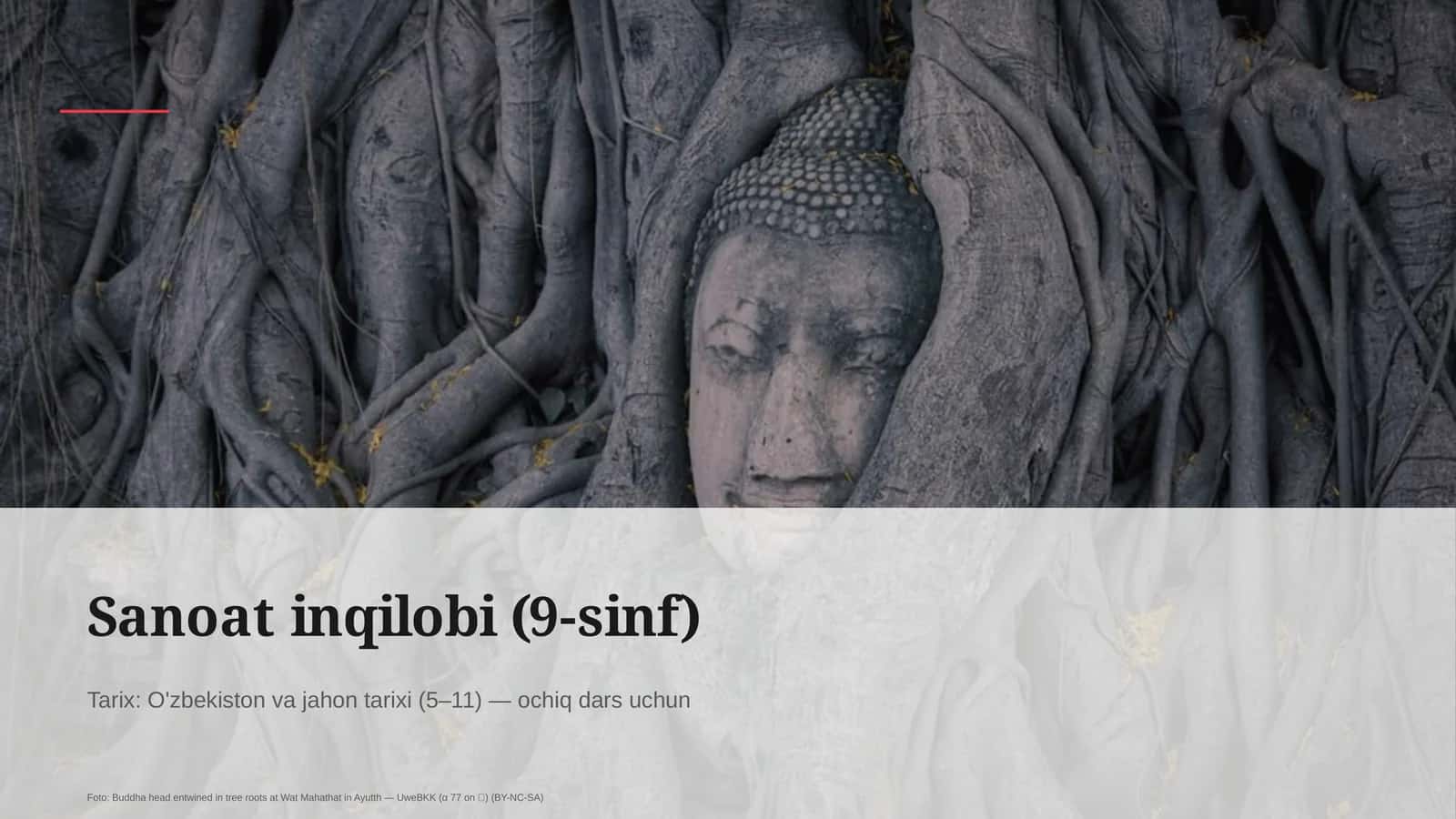 Sanoat inqilobi (9-sinf)