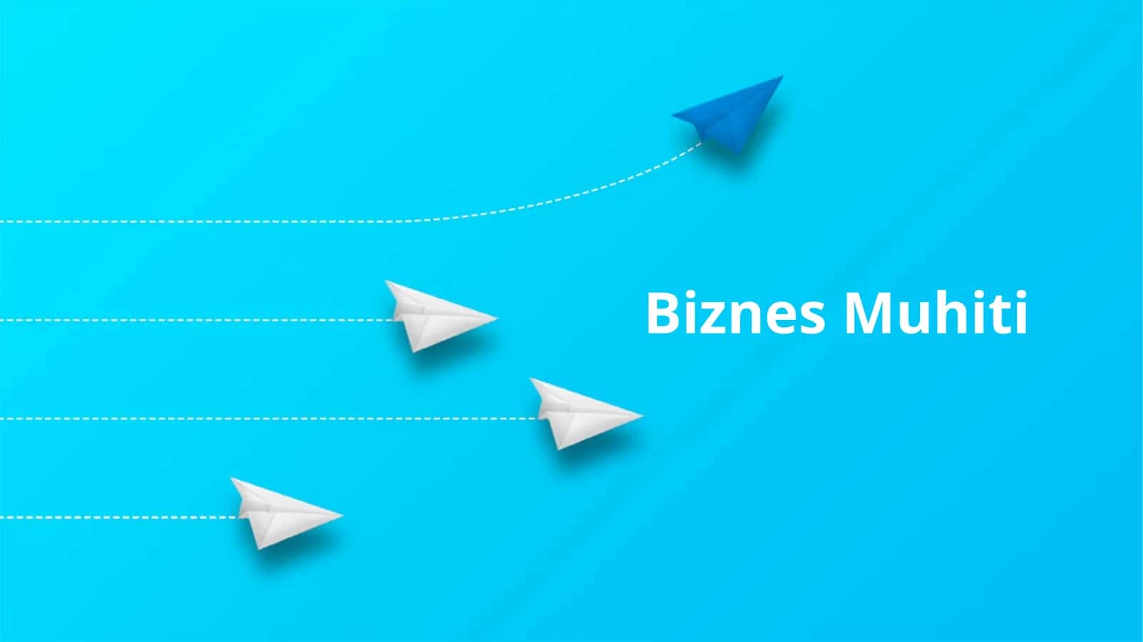 Biznes Muhiti
