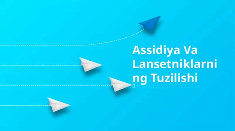 Assidiya Va Lansetniklarning Tuzilishi