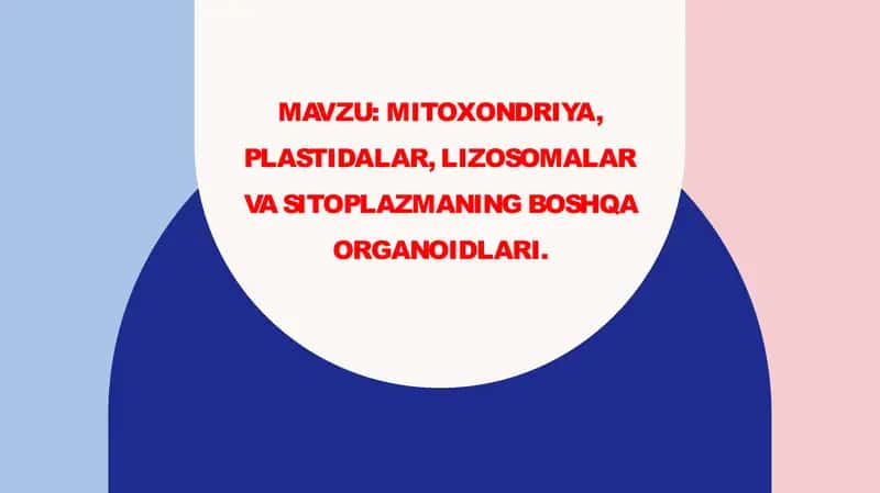 Hujayra organoidlari;