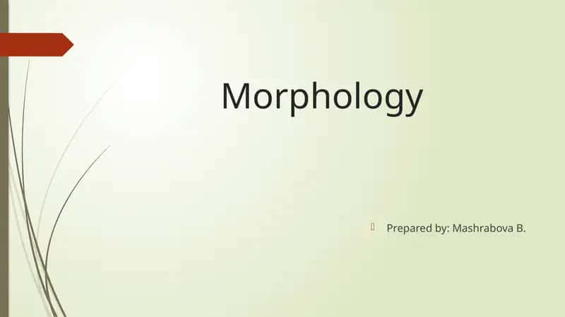 Morfologiya