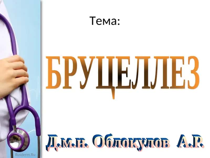 БРУЦЕЛЛЕЗ