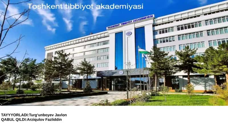 Davriy qonun va kimyoviy elementlarning klassifikatsiyasi