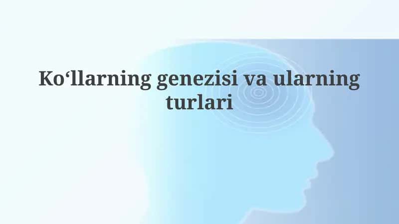 Ko‘llarning genezis va ularning turlari
