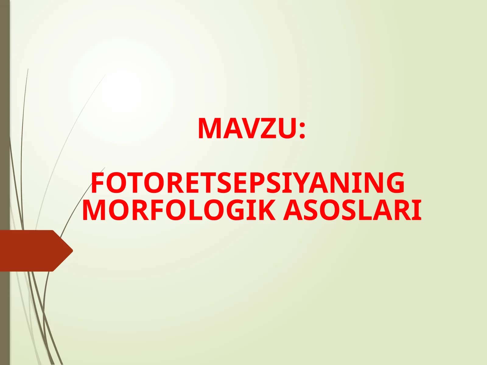 FOTORETSEPSIYANING MORFOLOGIK ASOSLARI