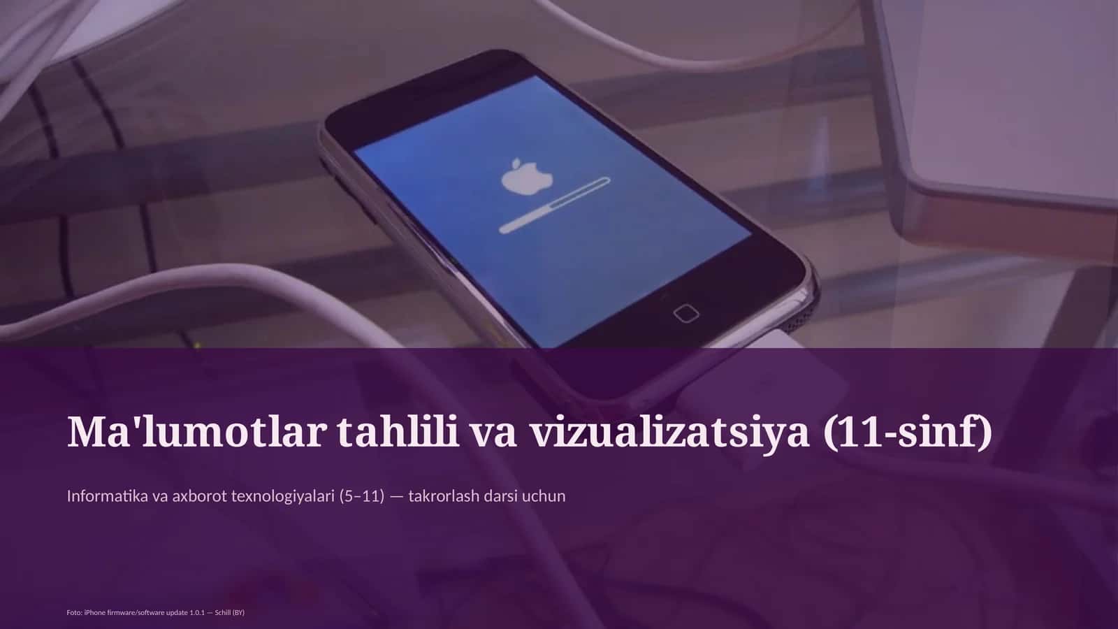 Ma'lumotlar tahlili va vizualizatsiya (11-sinf)