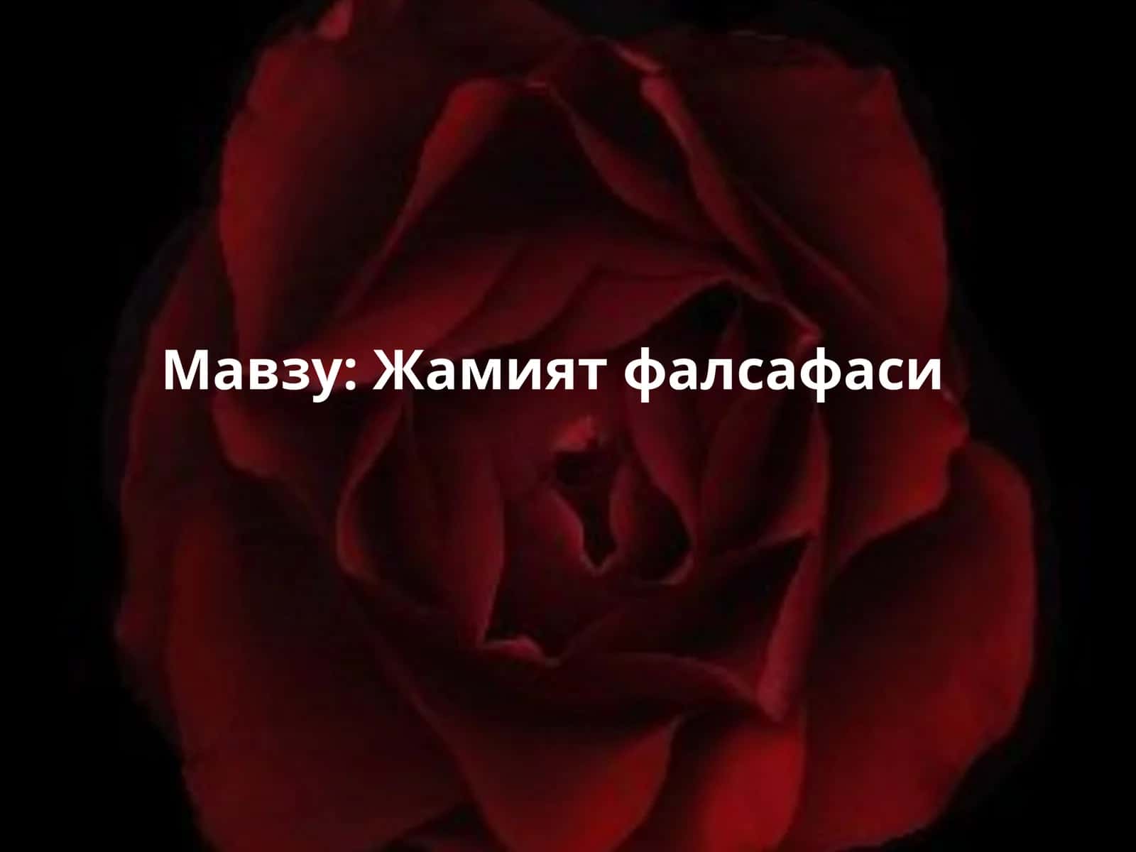Жамият фалсафаси