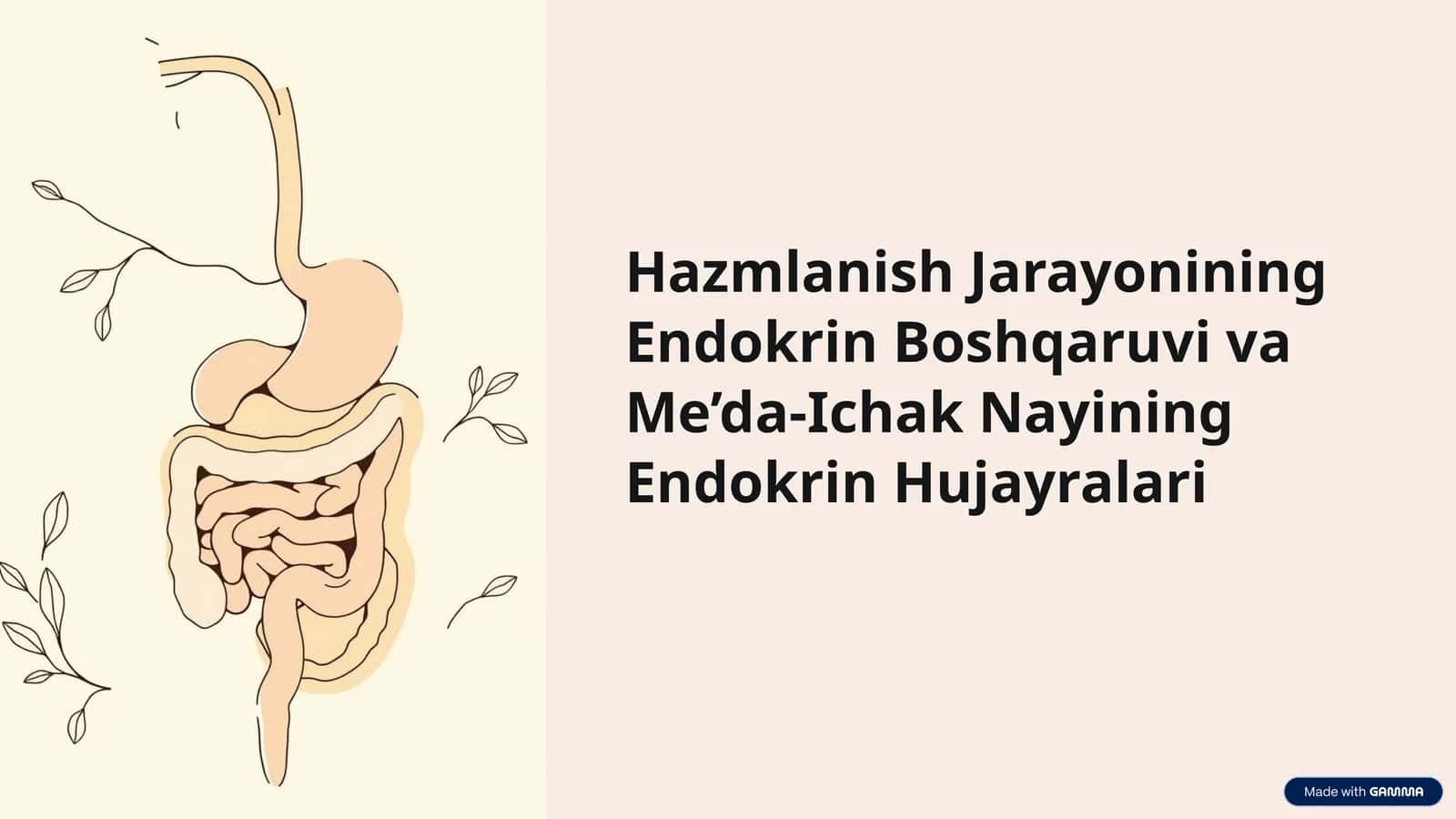 Hazmlanish Jarayonining Endokrin Boshqaruvi va Me’da-Ichak Nayining Endokrin Hujayralari
