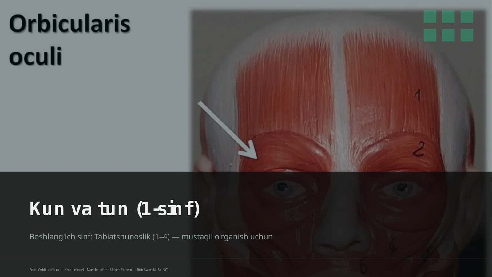 Kun va tun (1-sinf)