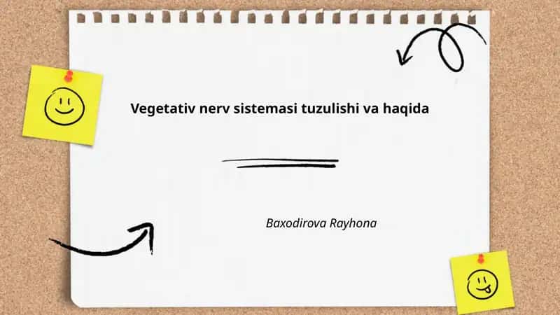 Vegetativ nerv sistemasi tuzulishi va haqida