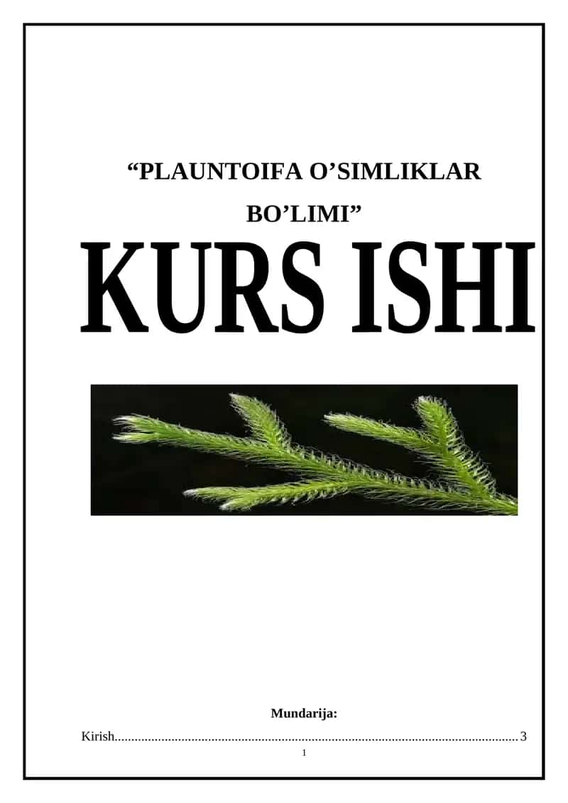 PLANTOIFA O'SIMLIKLAR BO'LIMI
