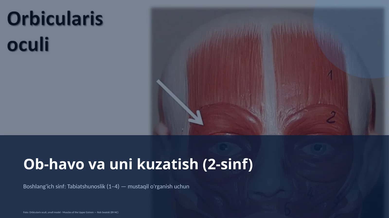 Ob-havo va uni kuzatish (2-sinf)