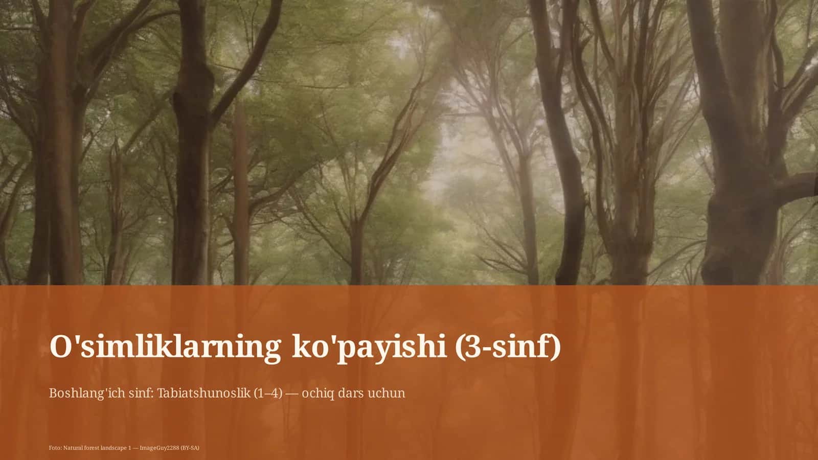 O'simliklarning ko'payishi (3-sinf)