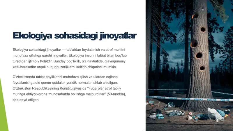 Ekologiya sohasidagi jinoyatlar