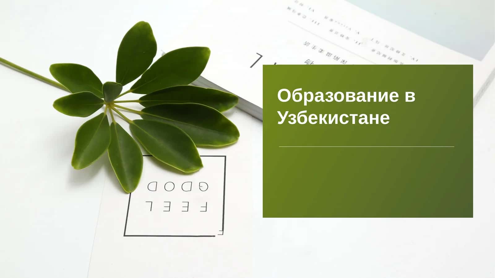 Образование в Узбекистане