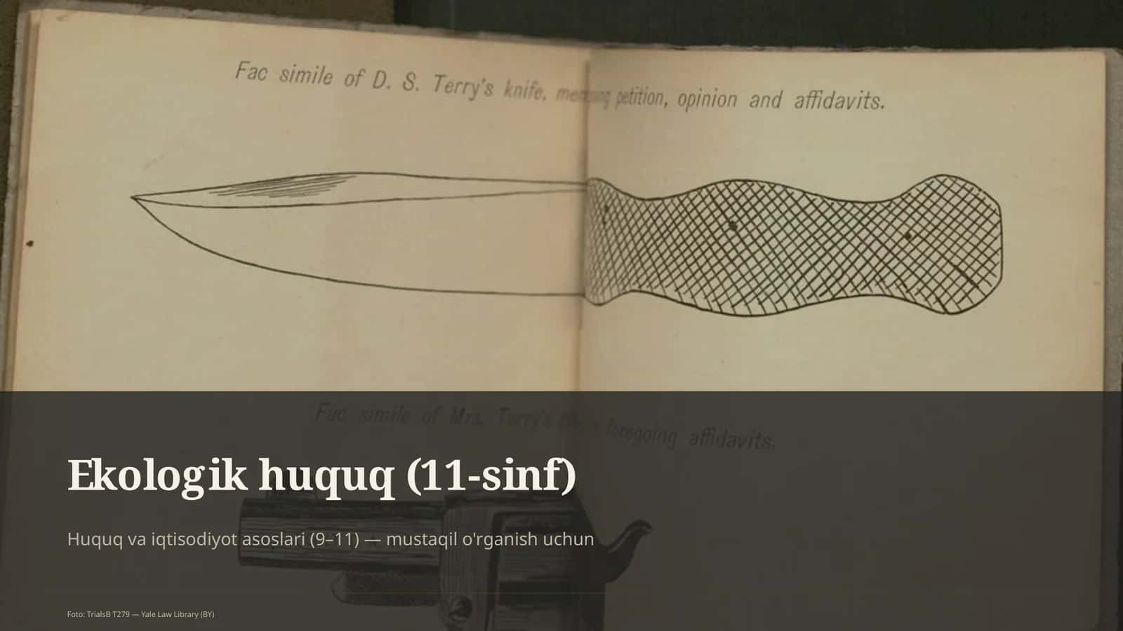 Ekologik huquq (11-sinf)