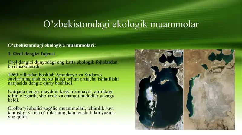 ekologik muammolar