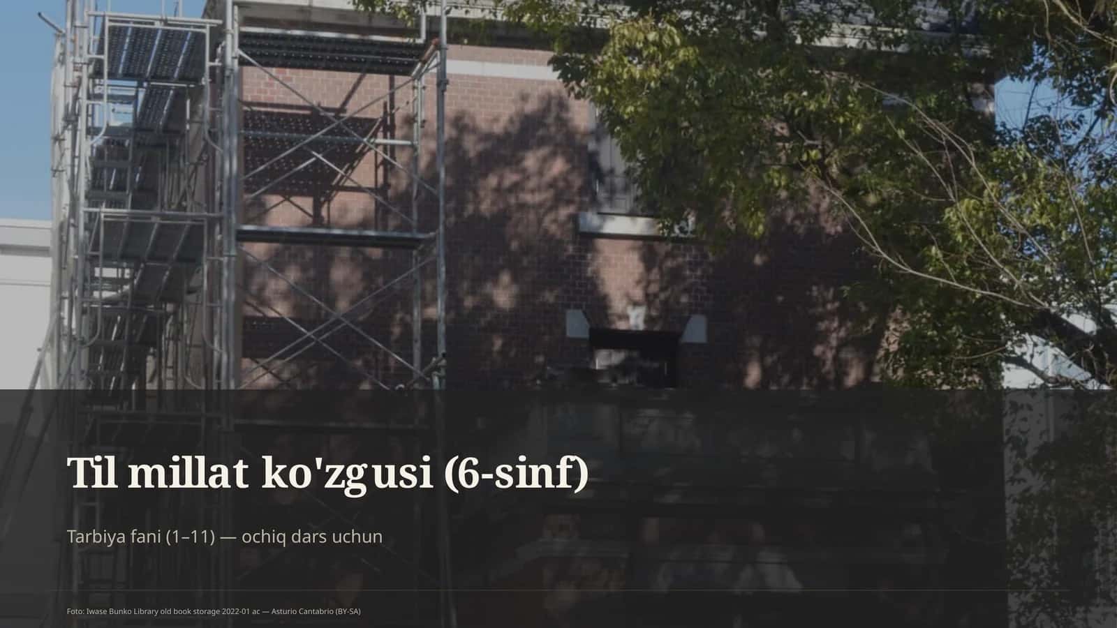 Til millat ko'zgusi (6-sinf)