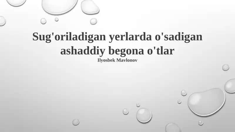 Begona O'tlarni Aniqlash