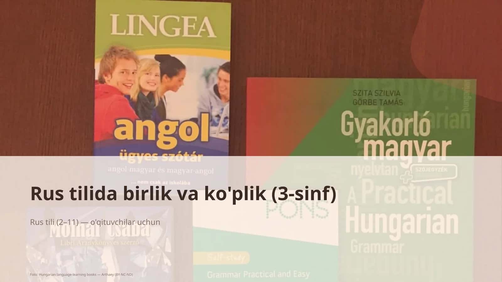 Rus tilida birlik va ko'plik (3-sinf)