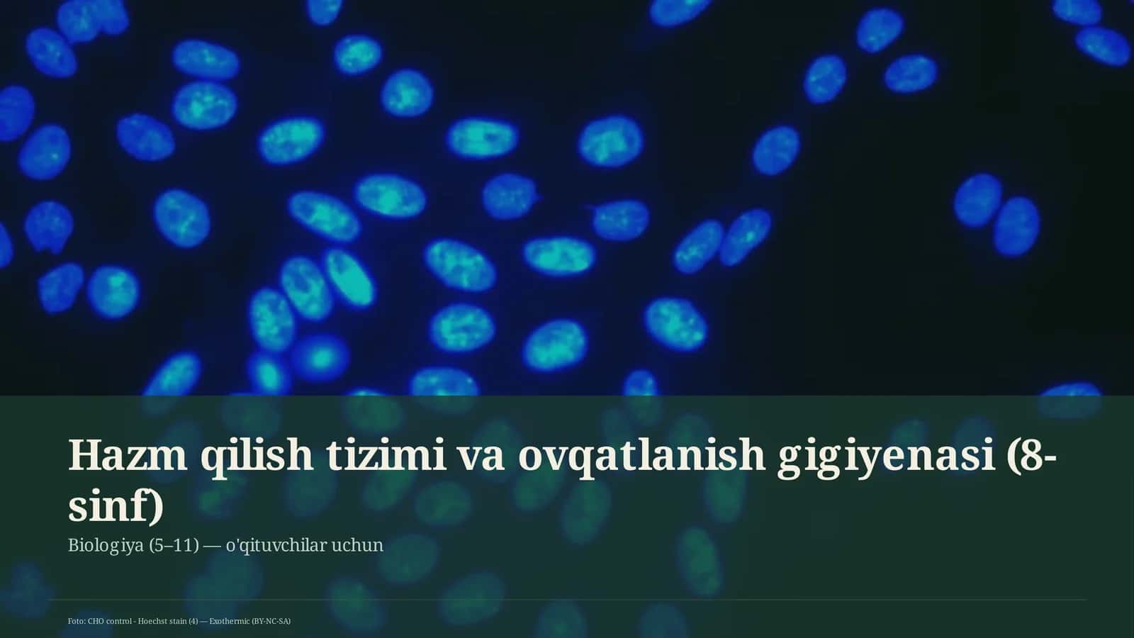 Hazm qilish tizimi va ovqatlanish gigiyenasi (8-sinf)
