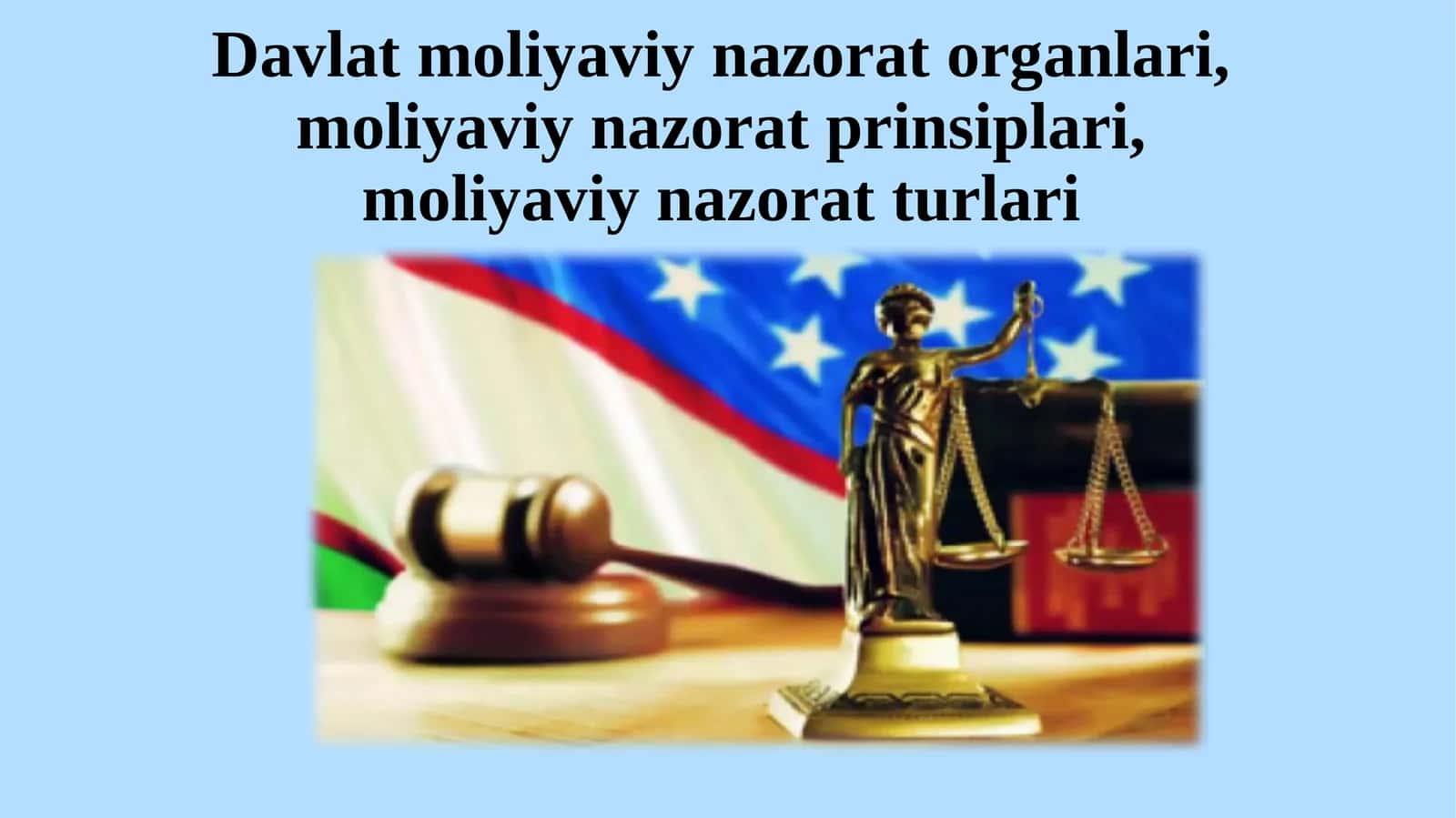 Davlat moliyaviy nazorati organlari, moliyaviy nazorat prinsiplari, moliyaviy nazorat turlari