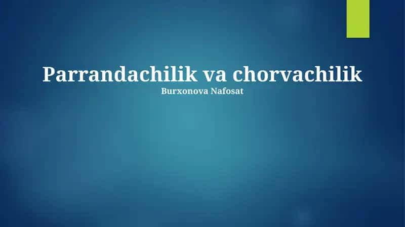 Chorvachilik va chorvachilik