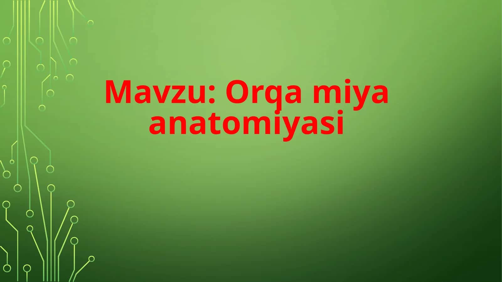 Orqamiyaanatomiyasi