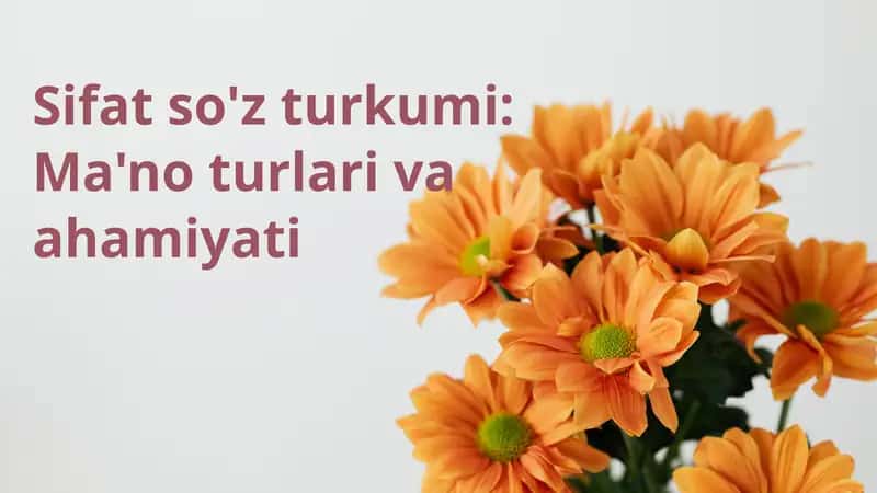 Sifat so'z turkumi: Ma'no turlari va ahamiyati